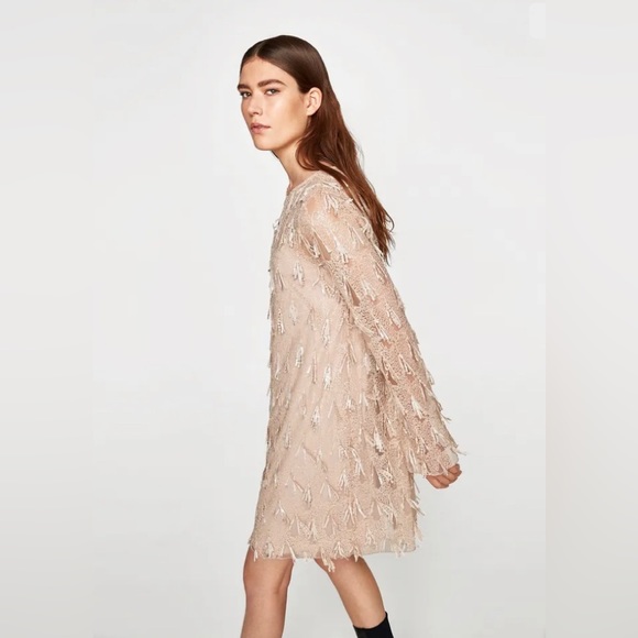 ZARA BLUSH SEQUIN FRINGE DRESS - Picture 4 of 8